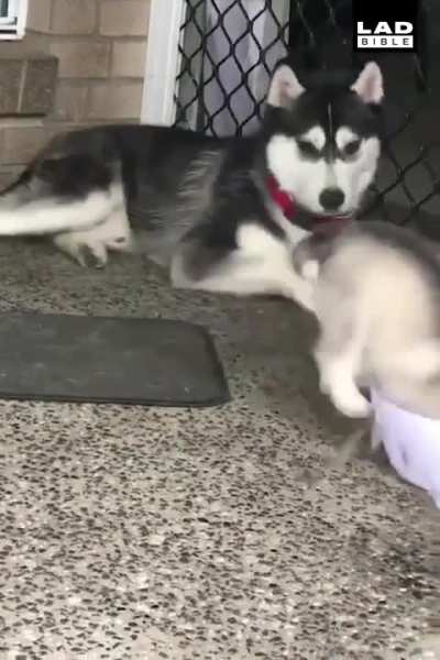So much going on