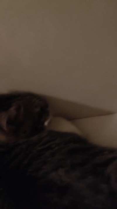 my cat’s weird sleeping position. I thought he was awake and just facing the wall, but he was actually in a deep sleep 🤣