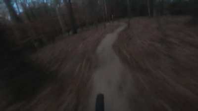 MTB