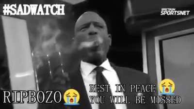 Rip bozo