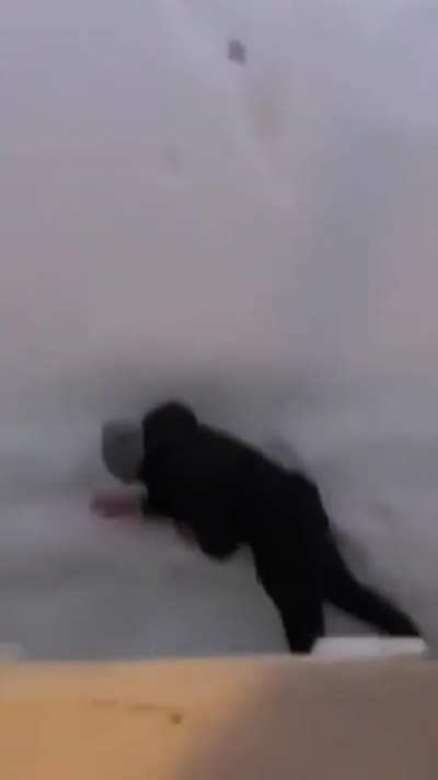 jump into the snow