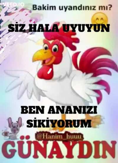 GÜNAYDIN KEYCİBİ HULKİ