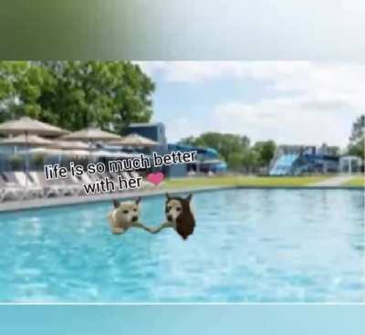 racist doge love life 💑