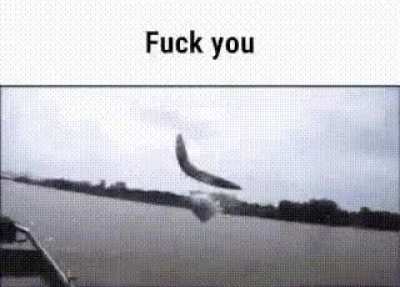 fuHgJ THE FİŞ