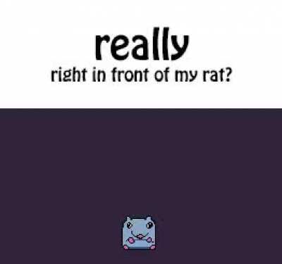 really? did you really just say that in front of the rat?