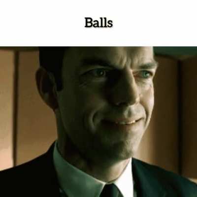 testicles