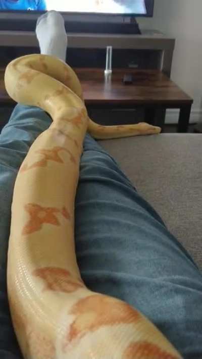 Fresh out of shed and ready to explore.