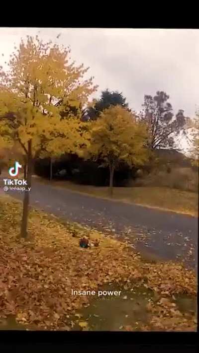 Mechanical screams