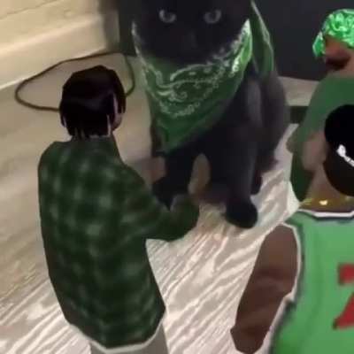 Me and the boys about to go to ballas territory