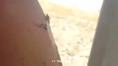 Accidental propellant ignition causes a cook-off in an Iraqi T-72 / x-post r/com<wbr>batfo<wbr>otage