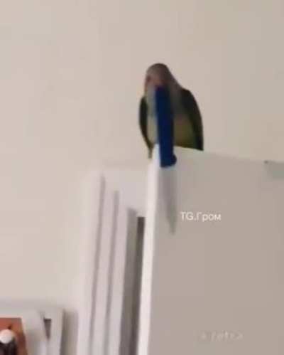 Drop it
