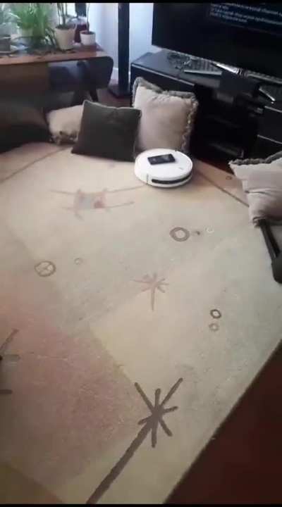 My vacuum is motivated