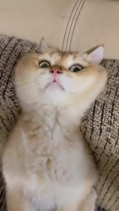 I've seen things