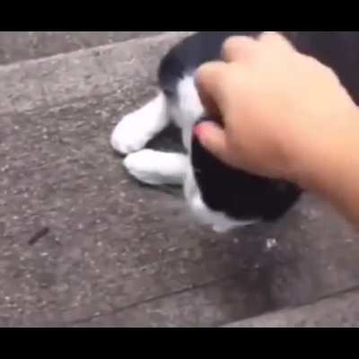 Ricky is angered