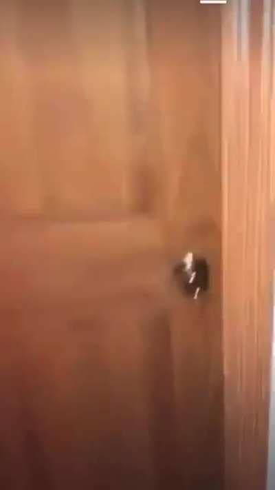 Living in a haunted house