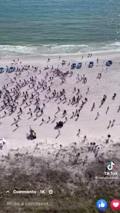Spring breakers in Panama City beach flee en masse when police bring a drug dog to the beach