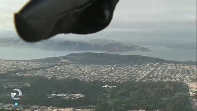 Bird photobombs weather report