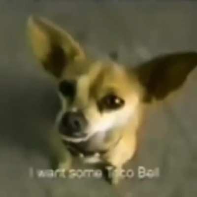 ',:/
