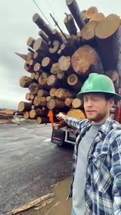Log trucks