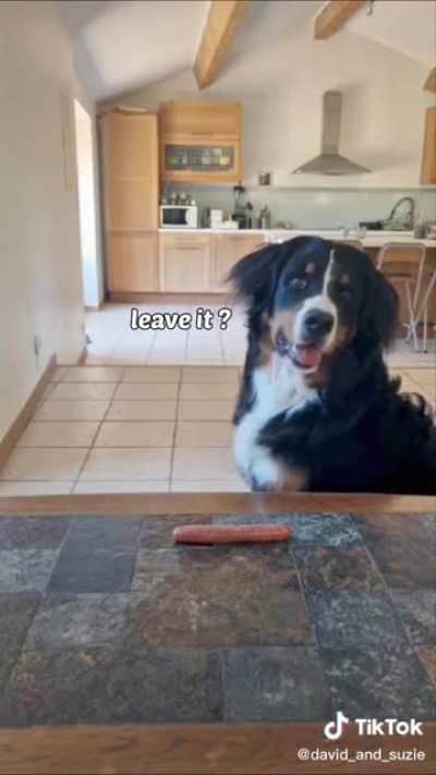 Beautiful and smart