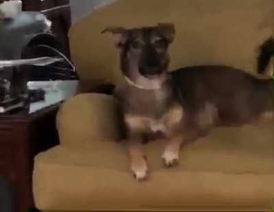 AWOooOooOoOoo