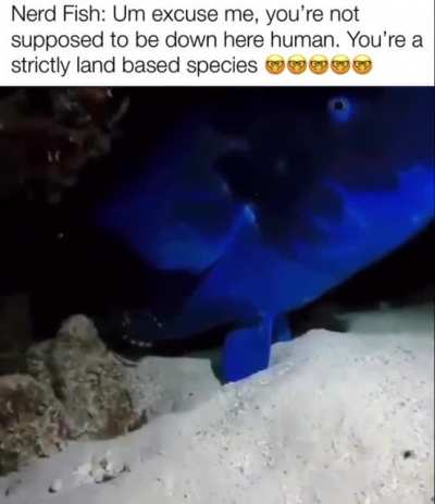 🤓🤓🤓🤓