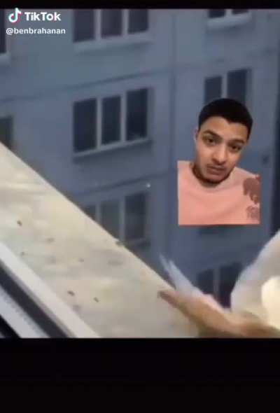 Pekâlâ pekâlâ