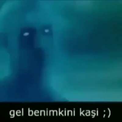 Benimkini de