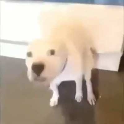😁