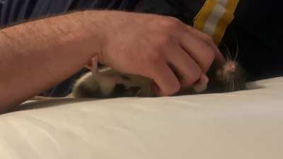 ❤️❤️❤️