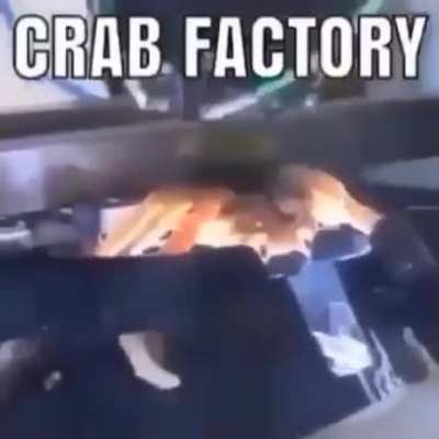 Crab