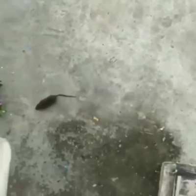 Yolladım gitmedi Bende icabına baktım özür dilerim Nude atmadınız nsfw