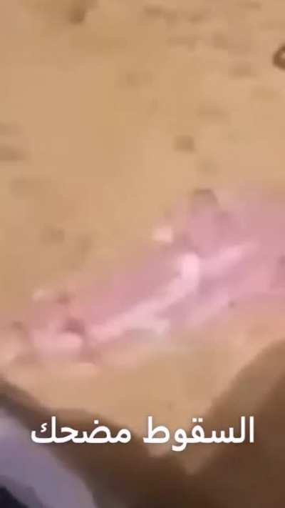 the camel back الجمل الخطي<wbr>رمضحك<wbr>🤣