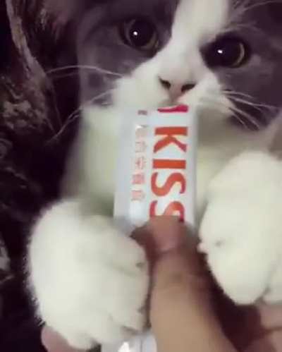 MORE SNACKOS