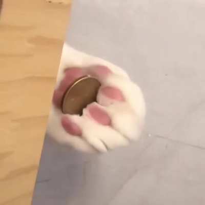 Khajiit only takes no give.