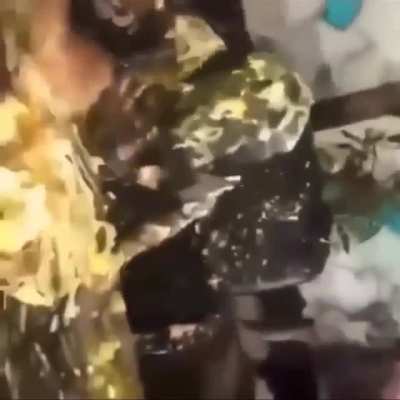 Moldy birthday cake