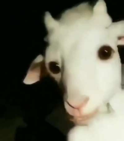 Cursed_undertale