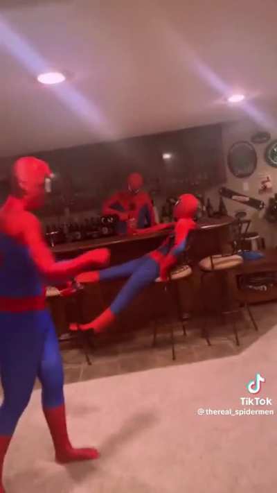 Spiderman: inside the home