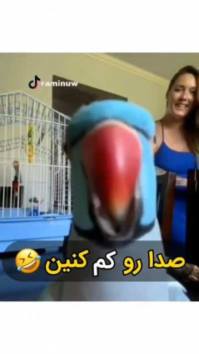 😂😂