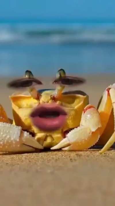OH CRAB!