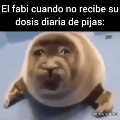 F por fabi
