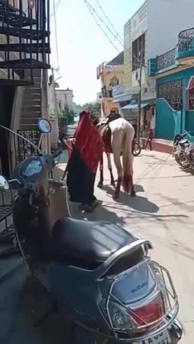To climb the horse