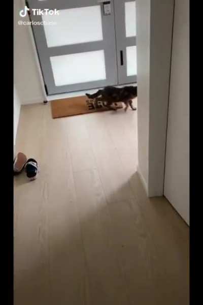 MeOoWw
