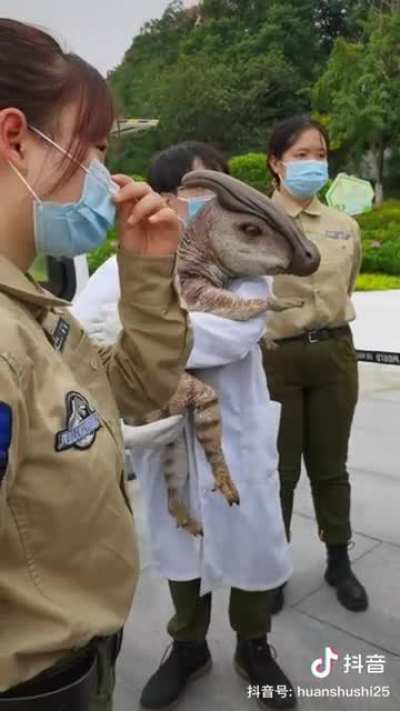 It moves when you touch its head