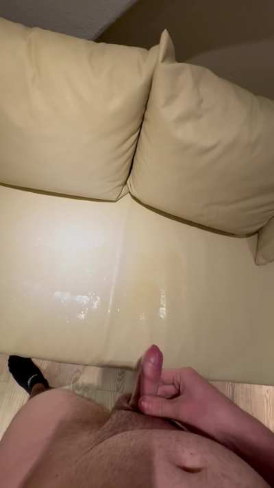 [23] Used my Leather Couch as a toilette again ;)