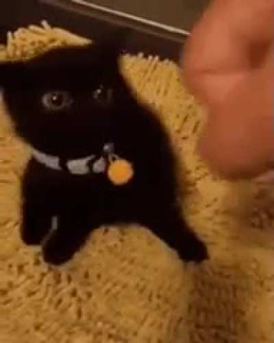 I am the Night!!!