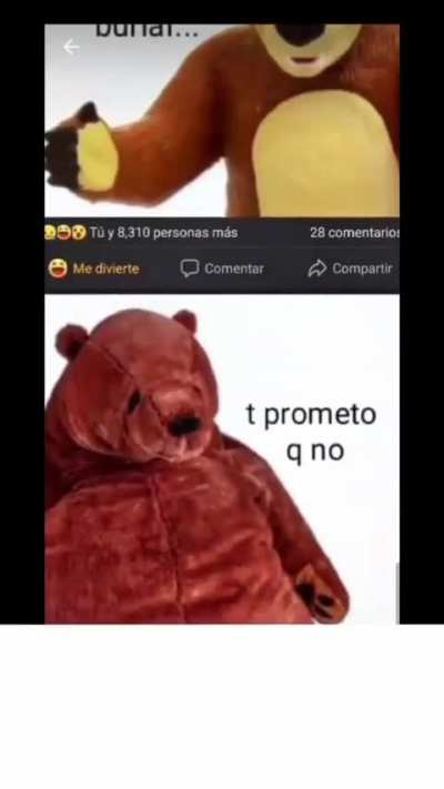 >Insira texto<