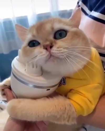 OLUM ÇOK TATLI LAAAAAAAN