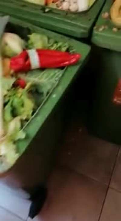 Foodwaste in Wien