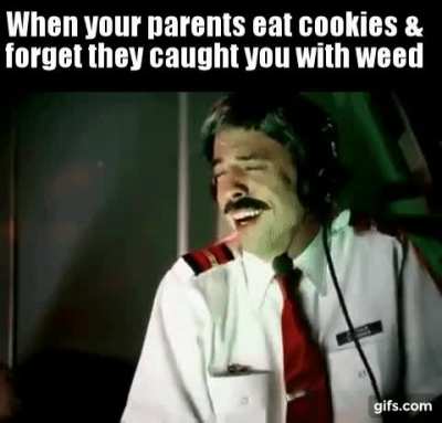 They ate the cookies you left